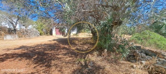 2 bedrooms Villa in Loule, Portugal No. 260120 8