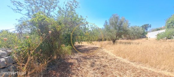 2 bedrooms Villa in Loule, Portugal No. 260120 19