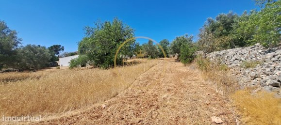 2 bedrooms Villa in Loule, Portugal No. 260120 18