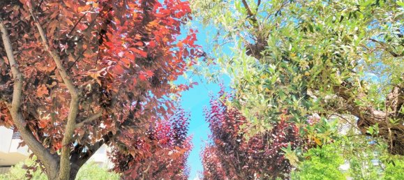 3-salle Penthouse à Montesilvano, Italy No. 17819 25