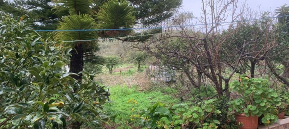 5غرفة فيلا في Casteldaccia, Italy رقم 52228 3