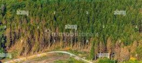 Terreno em Chioggia, Italy 2180 m² N.º 221502 8