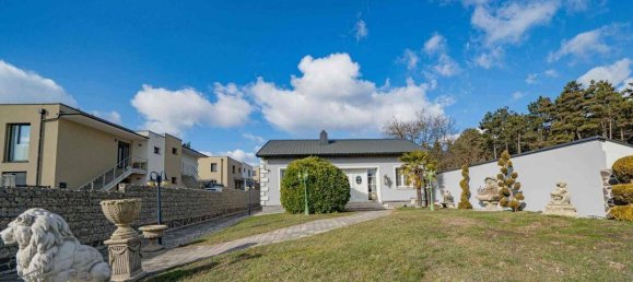 3 bedrooms Villa in Bad Deutsch-Altenburg, Austria No. 169032 5