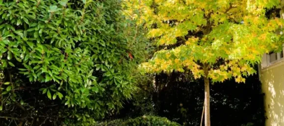 4 bedrooms House in Limburg-Weilburg, Germany No. 204961 21