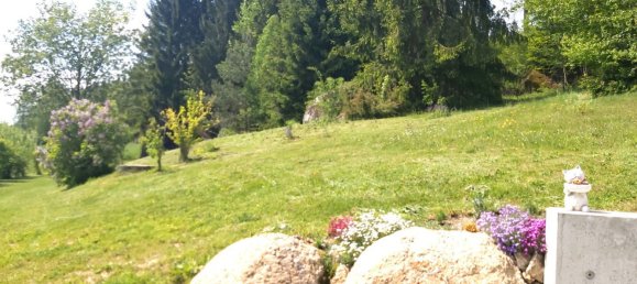 3 rooms House in Konigswiesen, Austria No. 232793 17