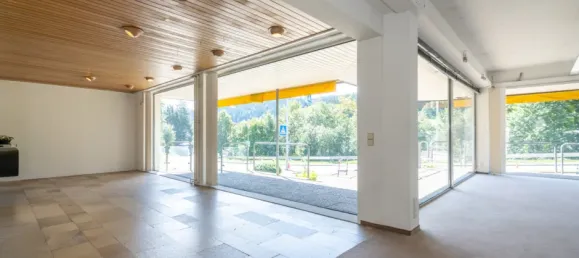 Imóvel comercial em Schwarzwald-Baar-Kreis, Germany 4442 m² N.º 61688 6