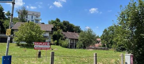 Terrain à Freiburg im Breisgau, Germany No. 248206 7