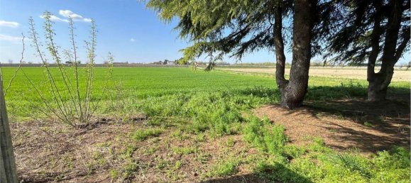 8 rooms Apartment in Masi Torello, Italy No. 290067 16