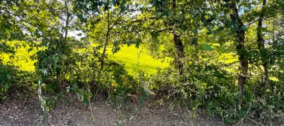 Terreno em Oberbergischer, Germany N.º 138302 4