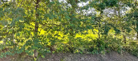 Terreno em Oberbergischer, Germany N.º 138302 5