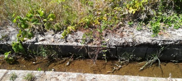 Grundstück in Cacabelos, Spain 2739m², Nr. 79695 9