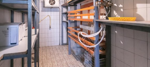 Propriété commerciale à Zwettl-Niederosterreich, Austria 781m² No. 81254 16