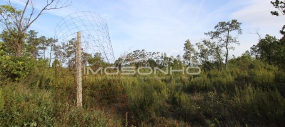 28960m² Land in Porto de Mos, Portugal No. 131311 15
