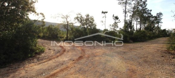 28960m² Land in Porto de Mos, Portugal No. 131311 19