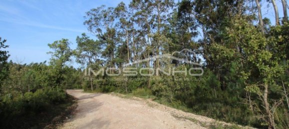 28960m² Land in Porto de Mos, Portugal No. 131311 20