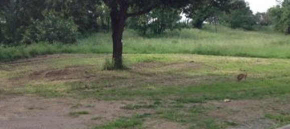 Grundstück in Arlena di Castro, Italy 120m², Nr. 256334 3