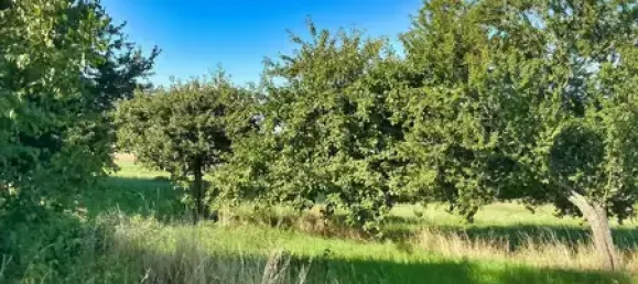 8 rooms Farm in Erzgebirgskreis, Germany No. 329966 26