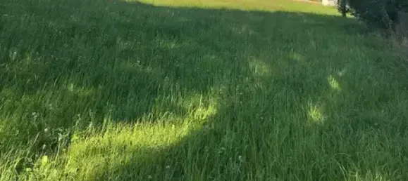 8 rooms Farm in Erzgebirgskreis, Germany No. 329966 36