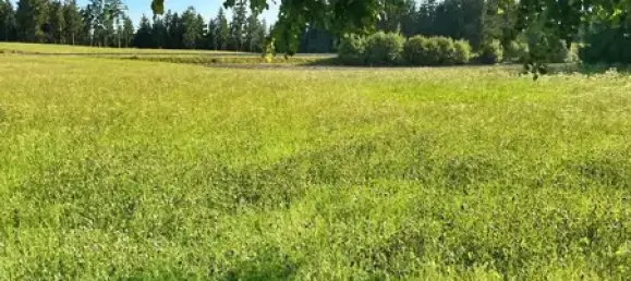 8 rooms Farm in Erzgebirgskreis, Germany No. 329966 33