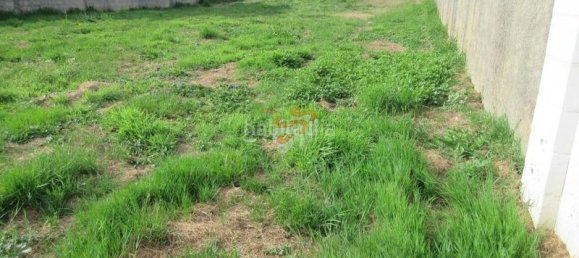  قطعة أرض في Naron, Spain 1000متر مربع رقم 165643 7