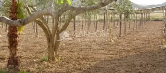 1 chambre Maison à Aspe, Spain No. 91907 18