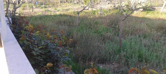 Studio in Trani, Italy, Nr. 20382 18