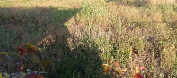 Studio in Trani, Italy, Nr. 20382 19