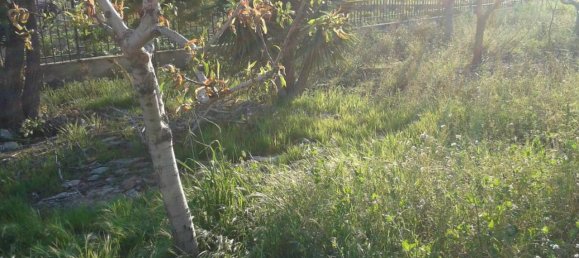 Studio in Trani, Italy, Nr. 20382 15