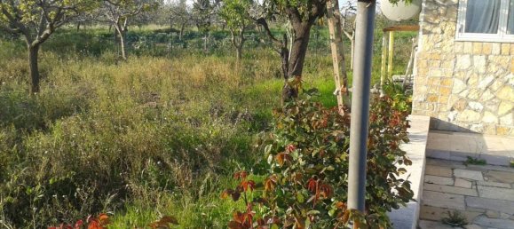 Studio in Trani, Italy, Nr. 20382 13