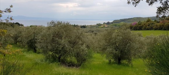 6500m² Hotel in Chalkidiki, Greece No. 4903 12