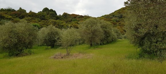 6500m² Hotel in Chalkidiki, Greece No. 4903 2