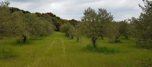 6500m² Hotel in Chalkidiki, Greece No. 4903 4