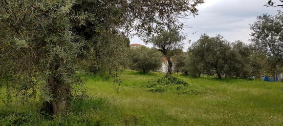 6500m² Hotel in Chalkidiki, Greece No. 4903 9