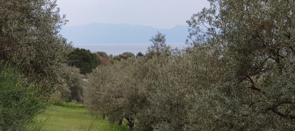 6500m² Hotel in Chalkidiki, Greece No. 4903 6