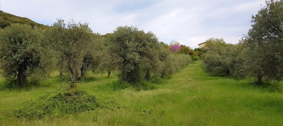 6500m² Hotel in Chalkidiki, Greece No. 4903 7