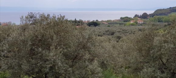 6500m² Hotel in Chalkidiki, Greece No. 4903 11