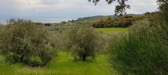 6500m² Hotel in Chalkidiki, Greece No. 4903 13