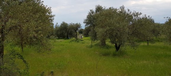 6500m² Hotel in Chalkidiki, Greece No. 4903 3