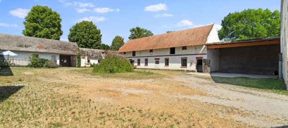  قطعة أرض في Andlersdorf, Austria رقم 199083 34