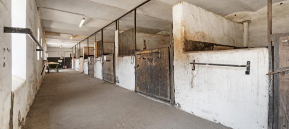  قطعة أرض في Andlersdorf, Austria رقم 199083 39