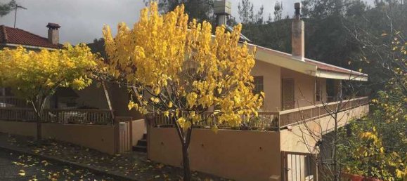 3 Schlafzimmer Haus in Kato Platres, Cyprus, Nr. 6673 7