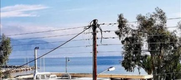 Property à Magnesia, Greece 381m² No. 5182 27