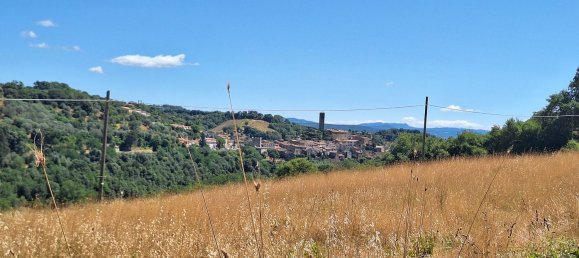 Apartamento de 4 habitaciónes en Magliano in Toscana, Italy No. 283826 50