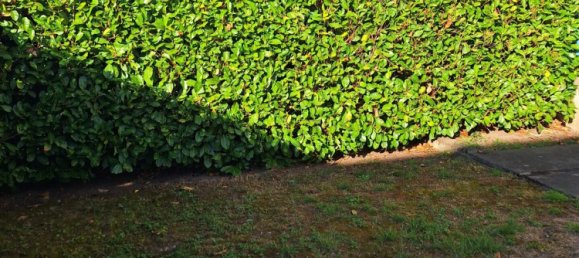 1 bedroom House in Haute-Saone, France No. 362060 16