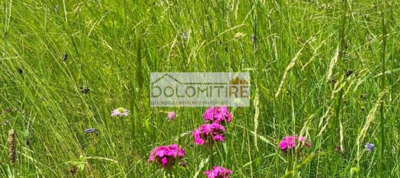 Casa de 5 habitaciónes en Valle di Cadore, Italy No. 278759 18