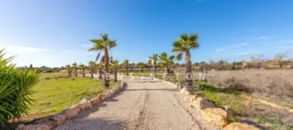 4 bedrooms House in Llucmajor, Spain No. 186824 14