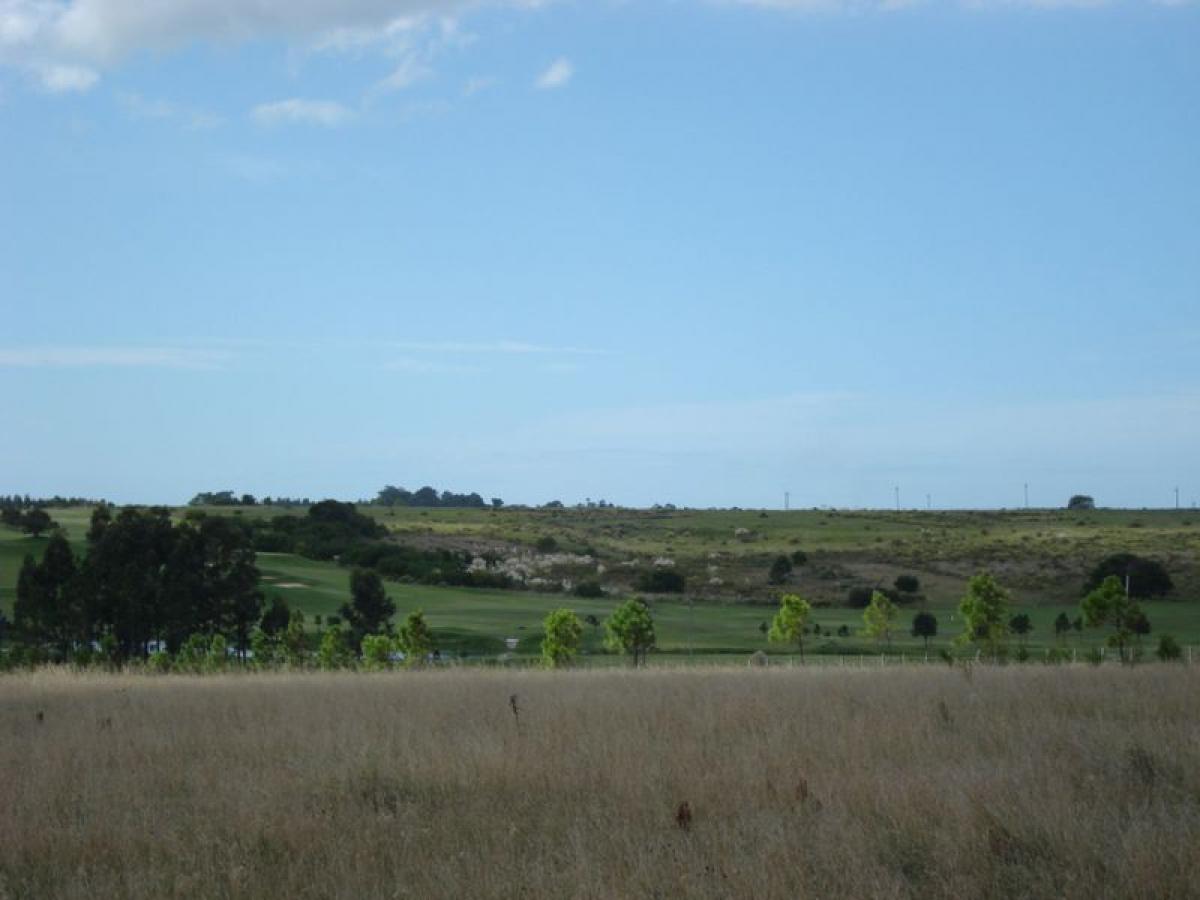 Bauernhof in Maldonado, Uruguay, Nr. 16208
