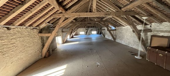 6 Schlafzimmer Gewerbliche Immobilie in Quincy-le-Vicomte, France, Nr. 193625 25