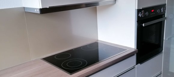 Квартира с 1 спальней в Баден-Вюртемберг, Германия № 23833 30