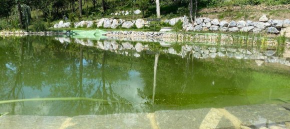 Terreno em Klosterneuburg, Austria N.º 20912 7